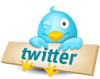 twitter bird